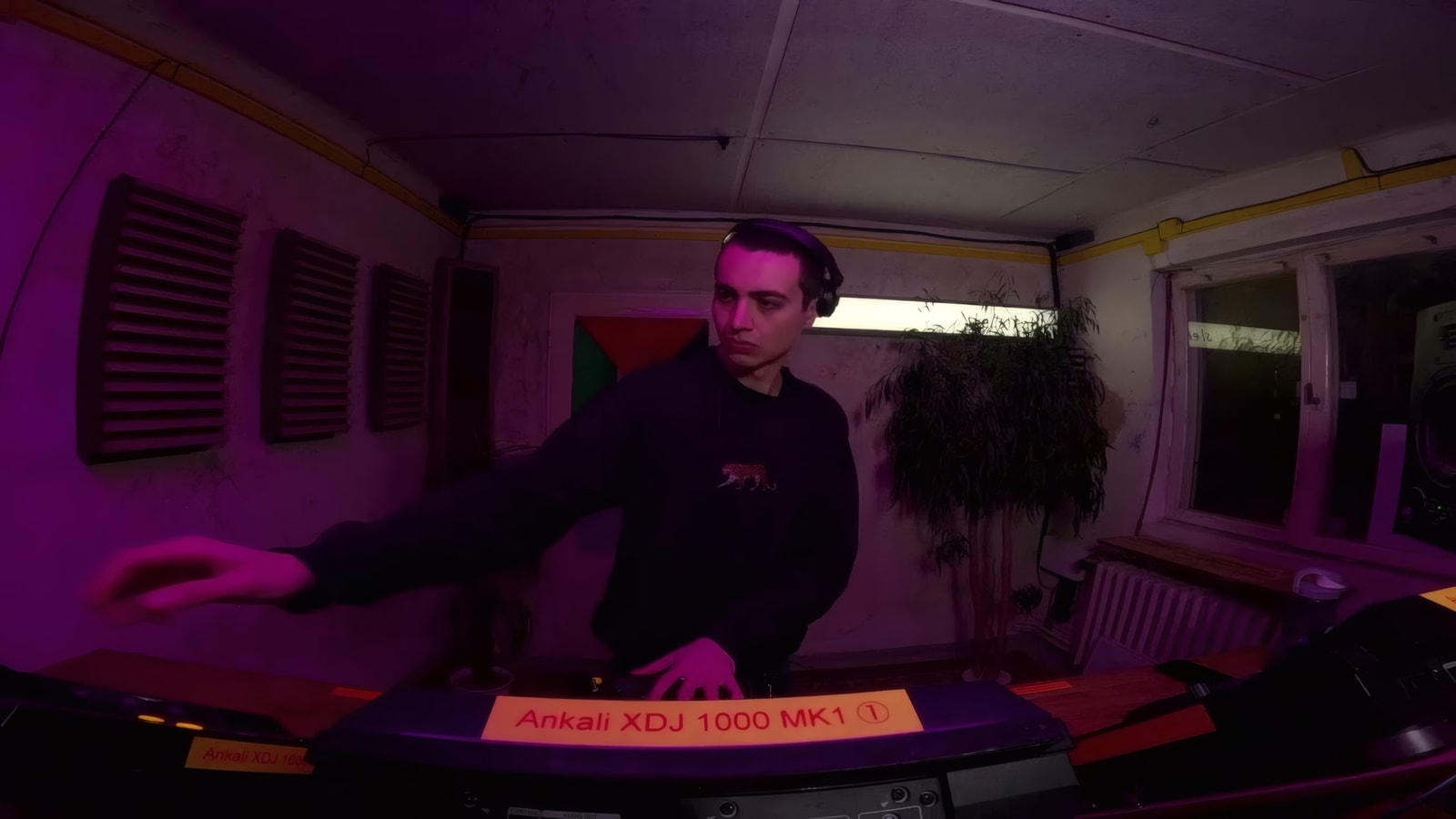 NEW FACES w/ Kino Paladino